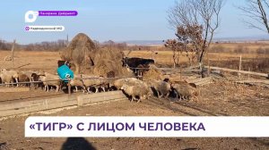 История с нападением на домашний скот в селе Нежино получила неожиданное продолжение