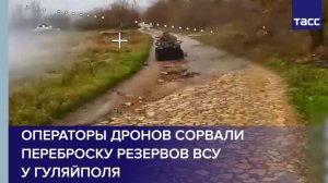 Операторы дронов сорвали переброску резервов ВСУ у Гуляйполя