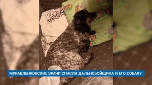 МУРАВЛЕНКОВСКИЕ ВРАЧИ СПАСЛИ ДАЛЬНОБОЙЩИКА И ЕГО СОБАКУ