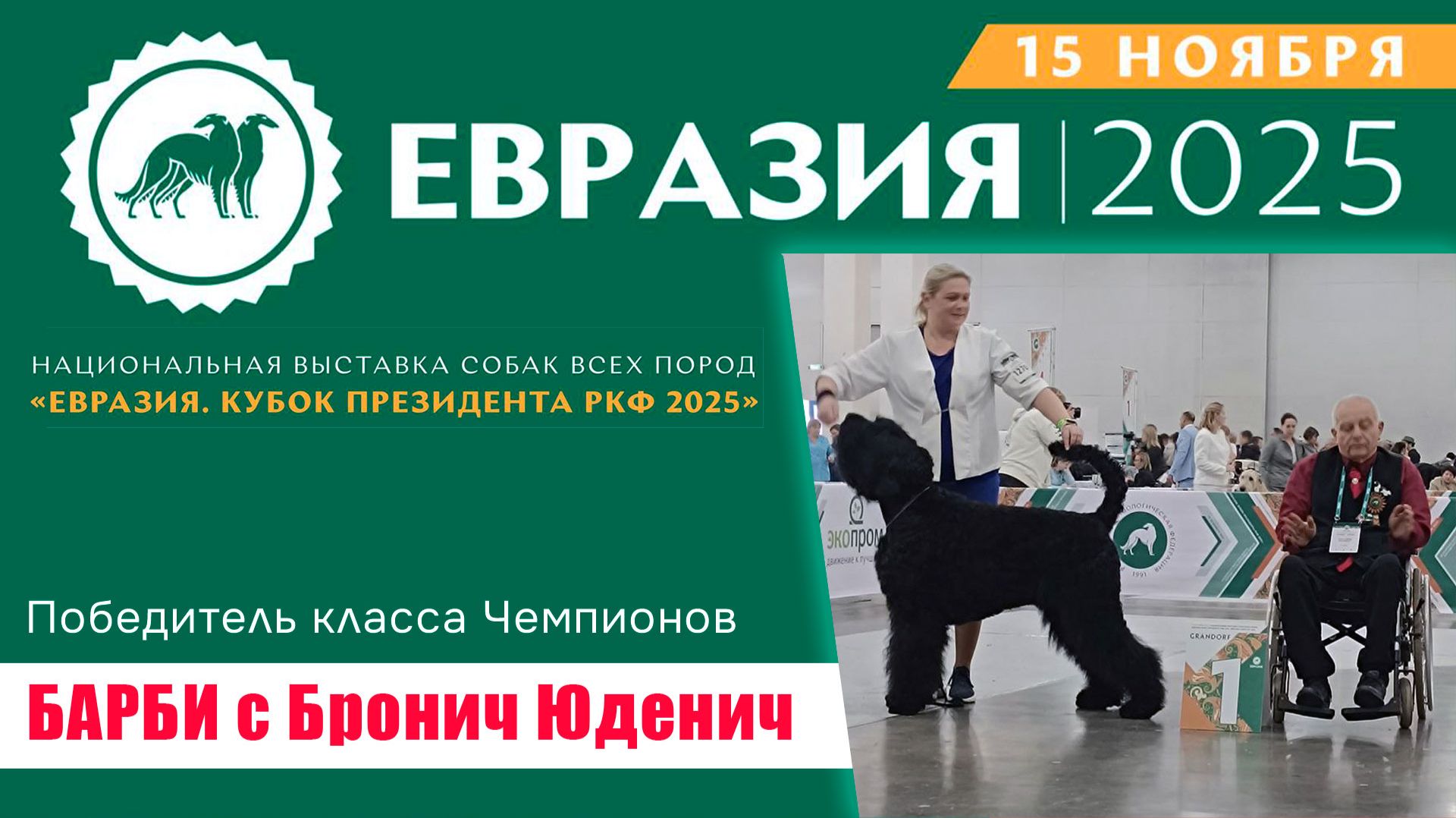 Барби с Бронич Юденич - победитель класса Чемпионов на Евразии-2025
