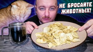 НЕ БРОСАЙТЕ ЖИВОТНЫХ|ЖИВОТНЫЕ ЧЛЕНЫ СЕМЬИ|НЕЛЬЗЯ БРОСАТЬ ЖИВОТНЫХ