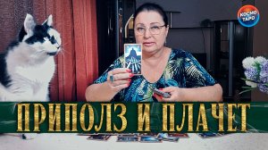 ПРИПОЛЗ И ПЛАЧЕТ! НА ЧТО ОН ЖАЛУЕТСЯ СЕЙЧАС? | Гадание таро расклад
