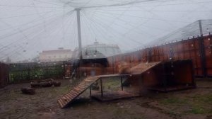 EGTY6416 Шархан Видео от Ивана 27.11.2025