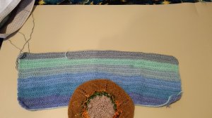 СП " Вязаные уютные мелочи ". Организатор Танзиля Галиуллина. Отчет Ноябрь