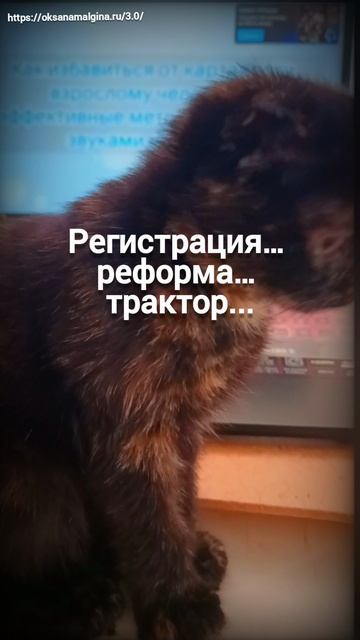 «Проверка дикции: попробуй произнести." смотреть онлайн