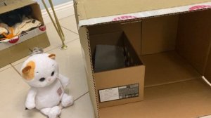 МЫ С БАСИКОМ ТИМОФЕЕМ СТРОИМ ЕМУ ЖИЛЬЕ