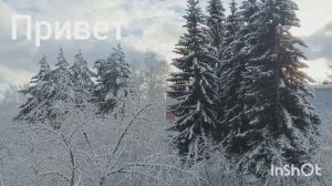 Солнце☀ после Снегопада❄вкусный пирог