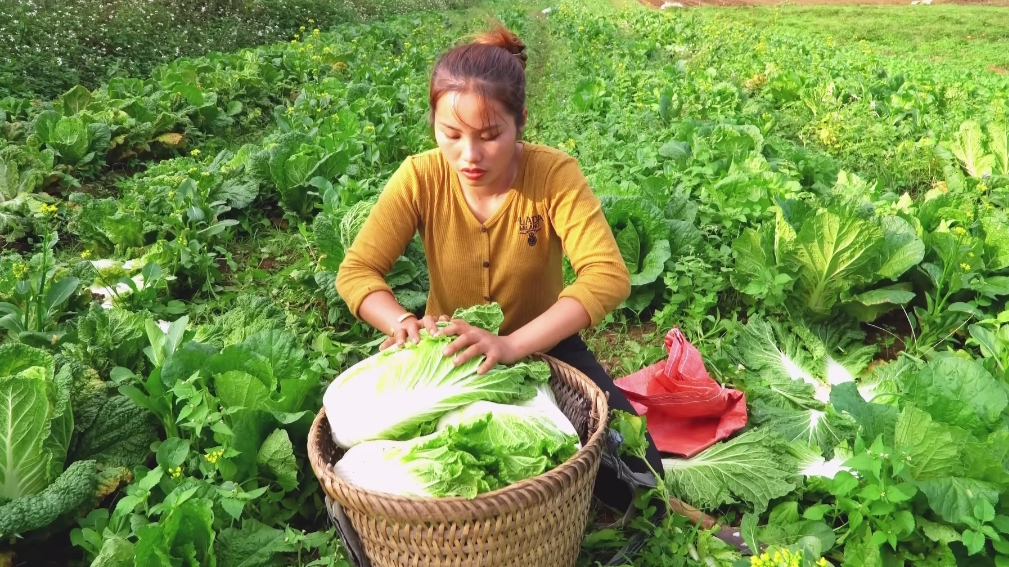 Мама поневоле, собирает и продает капусту чтобы накормить малыша.