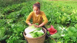 Мама поневоле, собирает и продает капусту чтобы накормить малыша.