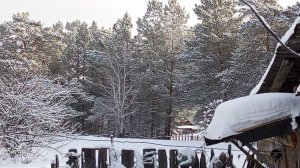 Сельские будни