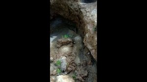 Карстовая пещера