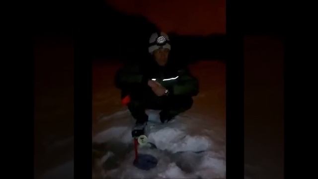 Ночная ловля больших щук на жерлицы в зимний период.