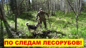 ВЕСЕННЯЯ РАЗВЕДКА И КОП МЕТАЛЛА! НАШЁЛ ЦВЕТНОЙ И ЧЁРНЫЙ МЕТАЛЛ! СДЕЛАЛ СХРОН МЕТАЛЛА НА ЗИМУ!