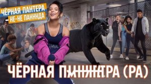 DJ XAM 77. 447 Báo Đen. (Чёрная пантера, на вьетнамском.)