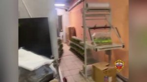 В Новой Москве полиция ликвидировала подпольный цех по производству сомнительного оливкового масла