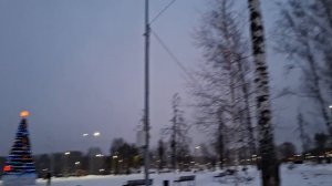 НОВОГОДНЯЯ ЁЛКА УКРАСИЛА ПАРК