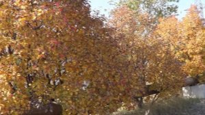 Осенний вечер