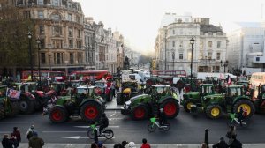 Улицы нескольких столиц в Европе охватили акции протеста