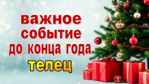 ТЕЛЕЦ  ⭐ ВАЖНОЕ СОБЫТИЕ до конца  года
