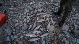 5 ДНЕЙ БИЧУЕМ НА РЫБАЛКЕ. ВОСТОЧНЫЙ КАЗАХСТАН