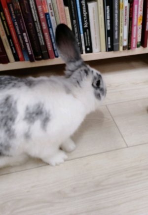 три маркера