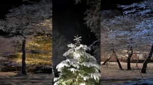 Сказочный вечер на турбазе Ладога Хоум ....25.11.2025г.