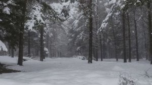 Меме:если ты меня любишь то пойдеш за мной