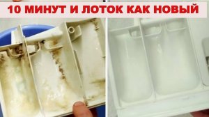 Вытащила лоток — ужаснулась… Но очистила легко!