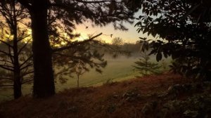 Вечерняя тишина с Божьим Словом.  Библия. Исцеление_души.