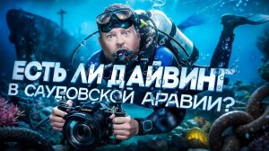 Дайвинг в Саудовской Аравии: Что ждет дайверов под водой и стоит ли ехать?