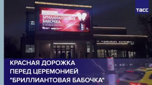 Красная дорожка перед церемонией "Бриллиантовая бабочка"