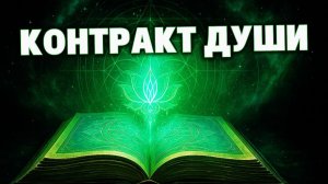 КОНТРАКТ ДУШИ: Почему многие живут не своей жизнью?