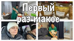 обновки В ДОМ__моя первая НЕУДАЧА__кормить НЕКОГО