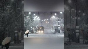 📽️🎶 ПРИЧАЛ ЛЮБВИ 🐬⛵#стихинелли