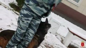 Задержание поджигателя вышки