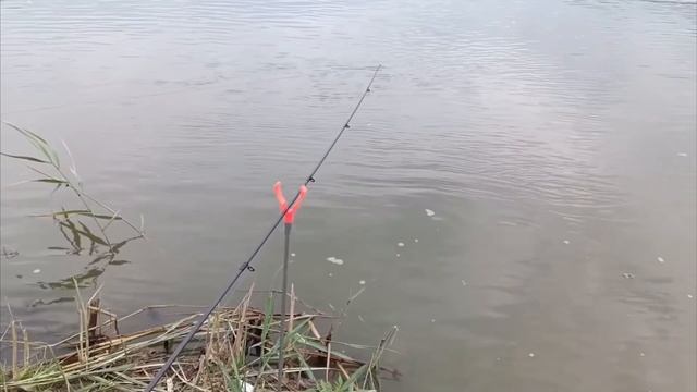 РЫБАЛКА в ТИШКОВО г. Астрахань. Рыбачим на ОСТРОВЕ, клюёт всё. АРХИВ 2024г.