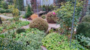 Подвожу итоги сезона и готовлю сад к зиме. Предзимье в южном саду 26.11.2025 г.Пятигорск, зона 6б.