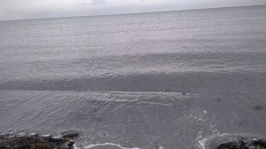 VID_20251127_134522.mp4