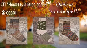 СП "Носочный блюз осени", 2 сезон. Отчет за ноябрь! Три пары носочков!