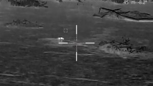 бобр заготовщик