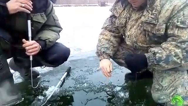 Ловля больших щук на жерлицы в зимний период.