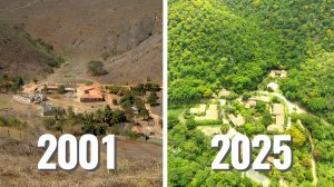 Все Смеялись, Когда Пара Сажала Деревья в Пустыне — Но Через 20 Лет Учёные Были в Шоке