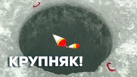 В ЭТОЙ ЛУНКЕ...КРУПНЯК ВЛУПИЛ ПОПЛАВОК и КИВОК! Мешок рыбы. Зимняя рыбалка 2025