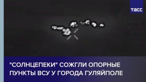 "Солнцепеки" сожгли опорные пункты ВСУ у города Гуляйполе