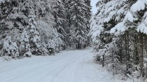 Где потеряла там и нашла.