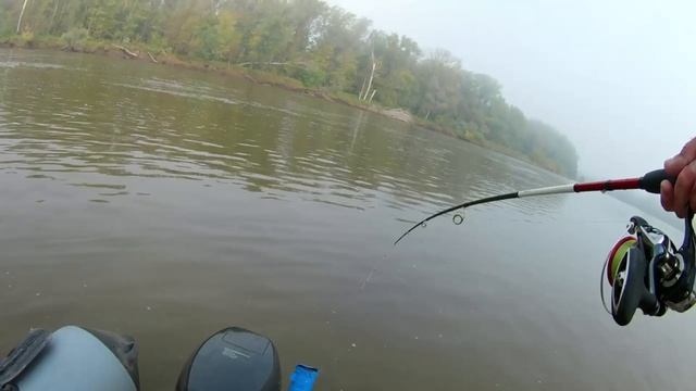 Щука 7300гр р.Белая