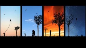 Деревья становятся призмой