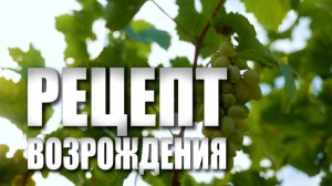 Специальный репортаж «Рецепт возрождения»