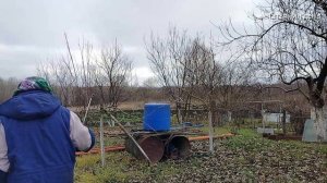 Обработала сад// Как же я жила без ...?//