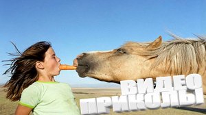 ТОПОВЫЕ ПРИКОЛЫ 2025 \ СМЕШНЫЕ ВИДЕОПРИКОЛЫ \ КАЧЕСТВЕННАЯ ПОДБОРКА ВИДЕОПРИКОЛОВ